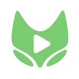 桃花TV直播图片
