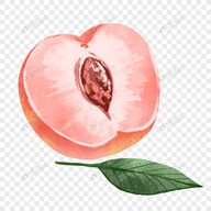69老师视频APPAPP应用